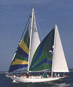 Cherubini 44  asymmetrical mizzen spinnaker